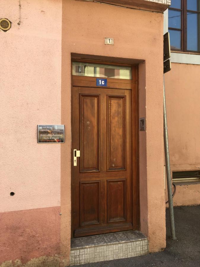 Le Gite 6 - Le Chateau Du Haut-Koenigsbourg Selestat Bagian luar foto